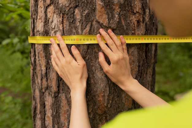 Guardiano forestale ad alto angolo con nastro di misurazione