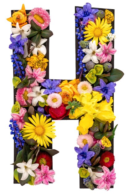 h Lettera fatta di fiori e foglie naturali reali su sfondo bianco isolato