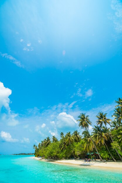 Hotel Male blu all&#39;aperto maldive