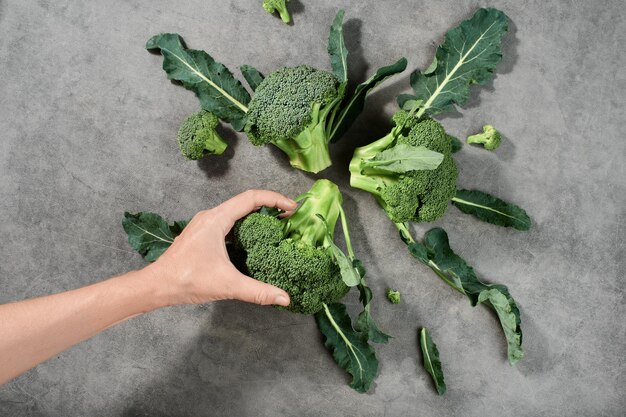I broccoli sono disposti su uno sfondo grigio, vista dall'alto. La mano della donna prende un cavolo per cucinare la cena. Prodotti vegetali sani, consegna cibo dalle fattorie