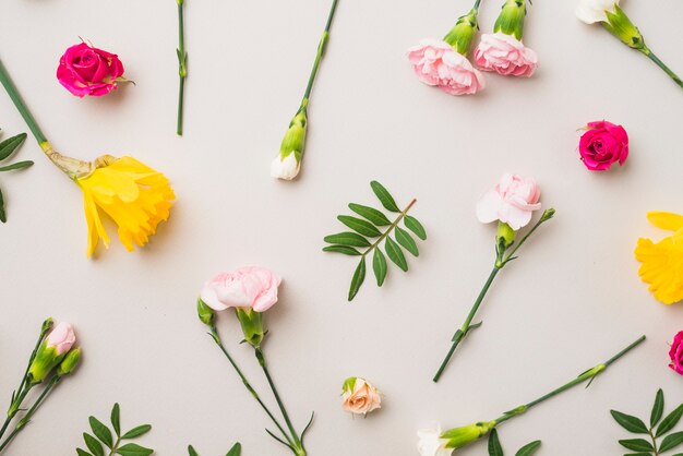 I garofani e le rose del primo piano si avvicinano alle foglie