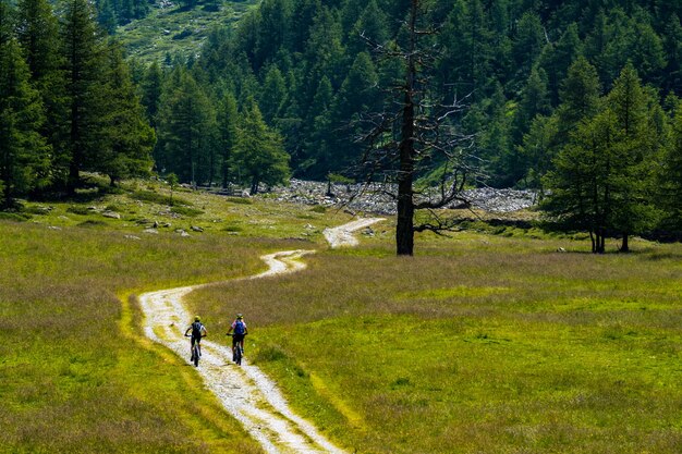 I turisti in bicicletta in un prato con un bellissimo paesaggio