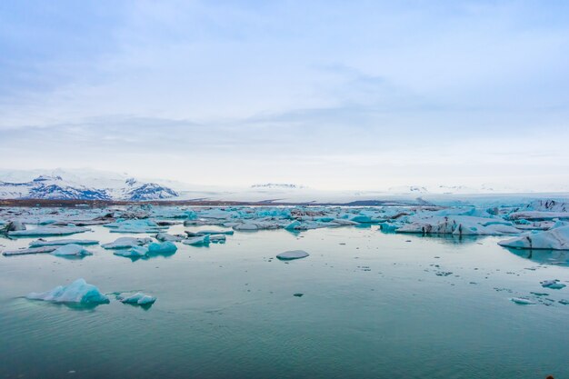 Iceberg in Glacier Lagoon, Islanda.