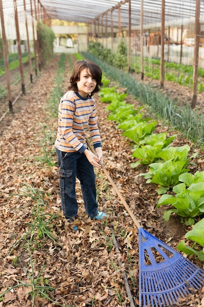 Il bambino felice pulire le foglie secche con un rastrello