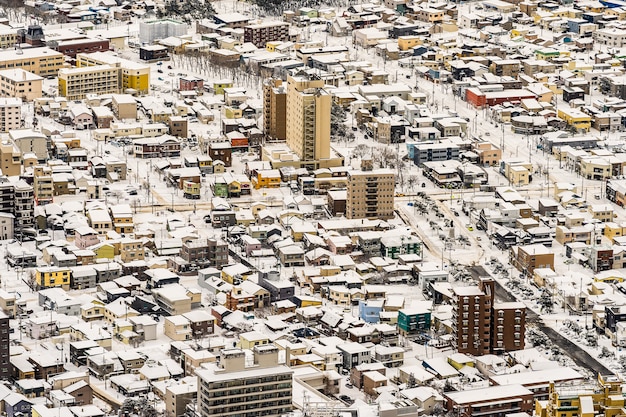 Il bei paesaggio e paesaggio urbano dalla montagna Hakodate per guardano intorno all&#39;orizzonte della città