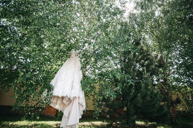 Il bellissimo abito da sposa è sospeso tra gli alberi