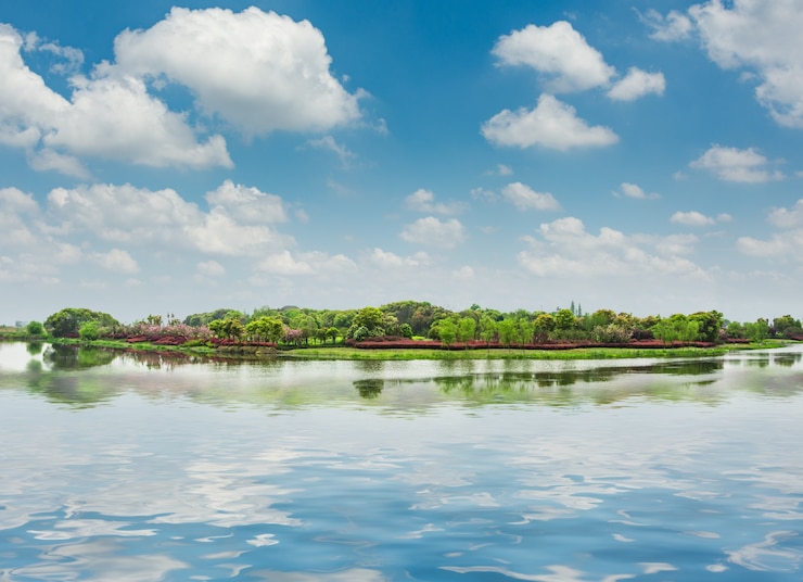 Foto gratuito il bellissimo parco