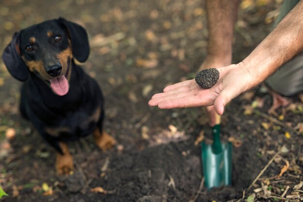 Il cacciatore di funghi professionista e il suo cane addestrato hanno trovato funghi al tartufo nella foresta