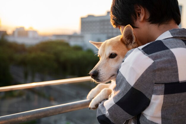 Il cane Shiba inu che fa una passeggiata