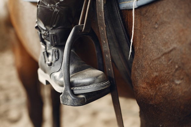 Il cavaliere si allena con il cavallo