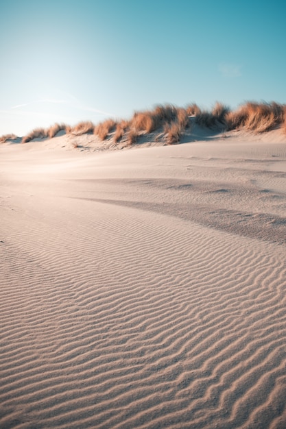 Il colpo verticale del deserto sotto il chiaro cielo blu ha catturato a Oostkapelle, Paesi Bassi