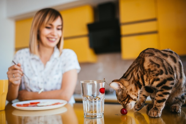 Il gatto del Bengala esamina una ciliegia mentre galleggia in vetro con acqua