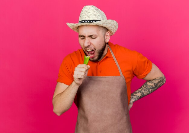 Il giardiniere maschio infastidito che indossa il cappello da giardinaggio tiene e guarda il peperoncino