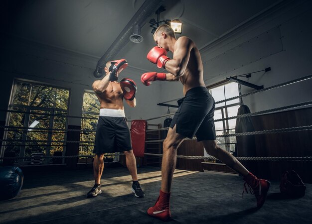 Il giovane allenatore di boxe e il suo nuovo studente hanno una formazione sul ring.