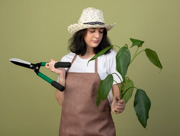 Il giovane giardiniere femminile castana sicuro in cappello da giardinaggio d'uso uniforme tiene i tagliatori del giardino e guarda la pianta isolata sulla parete verde oliva