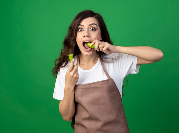 Il giovane giardiniere femminile colpito in uniforme che indossa il cappello da giardinaggio finge di mordere il peperoncino rotto isolato sulla parete verde con lo spazio della copia