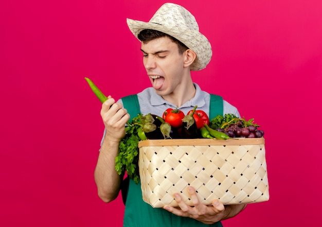 Il giovane giardiniere maschio dispiaciuto che porta il cappello di giardinaggio sporge fuori la lingua tiene il cestino della verdura e il peperoncino