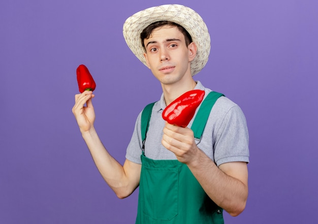 Il giovane giardiniere maschio sicuro che porta il cappello di giardinaggio tiene i peperoni rossi