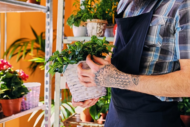 Il maschio barbuto con le braccia tatuate tiene un vaso con fiori.