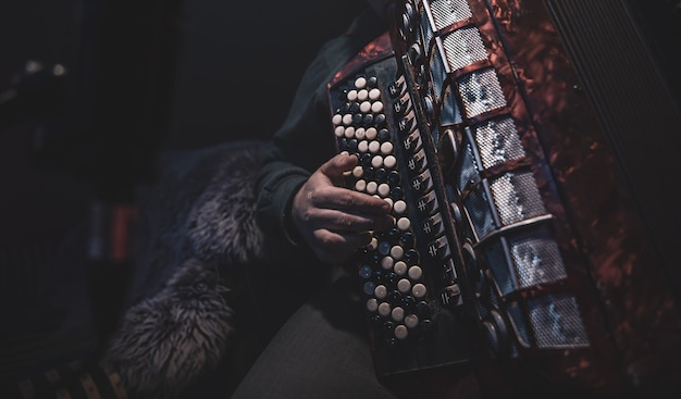 Il musicista suona la fisarmonica a bottoni in studio