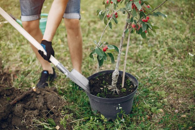 Il padre con il piccolo figlio sta piantando un albero su un'iarda