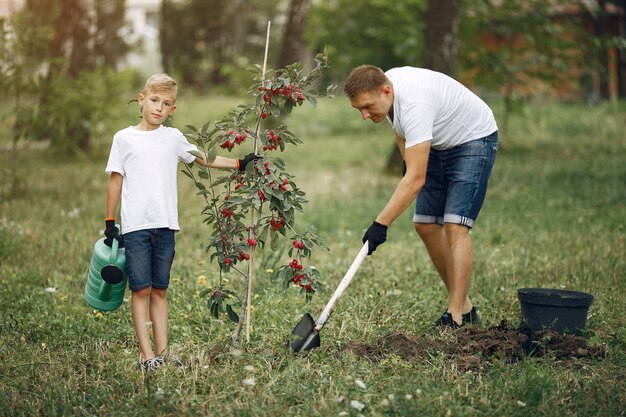 Il padre con il piccolo figlio sta piantando un albero su un'iarda