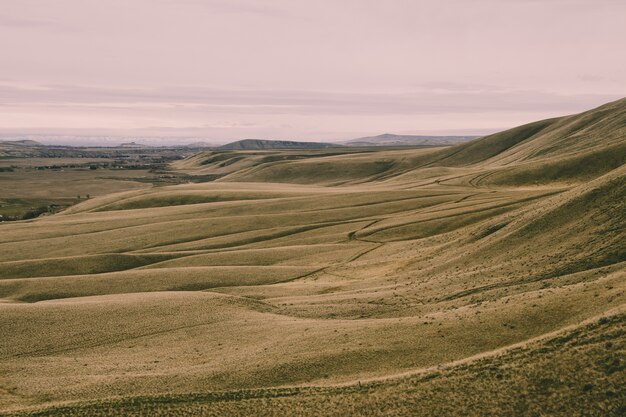 Il paesaggio del campo coperto di erba sotto la luce del sole la sera