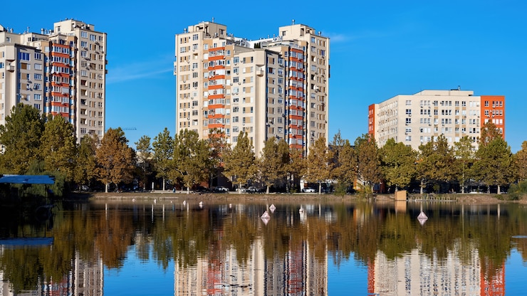 Foto gratuito il paesaggio di un lago nel parco