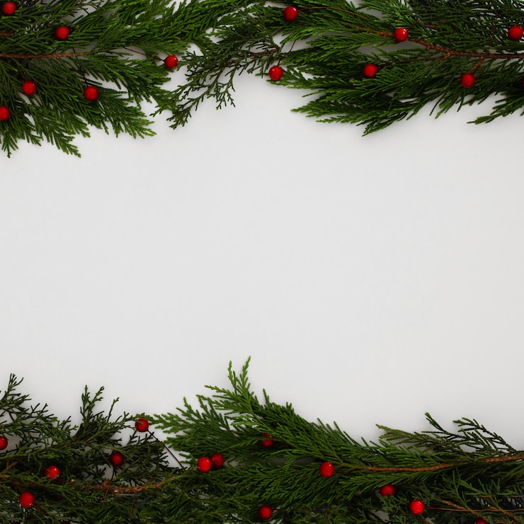 Foto gratuito il pino di natale lascia su una priorità bassa bianca con lo spazio della copia