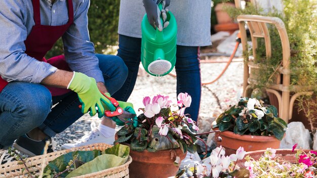 Il primo piano del giardiniere maschio e femminile innaffia e taglia il cespuglio con le cesoie in giardino