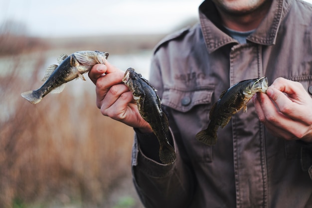 Il primo piano della tenuta dell&#39;uomo ha preso il pesce fresco in mani