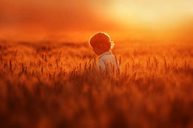 Il ragazzino cammina nel campo pieno di grano dorato