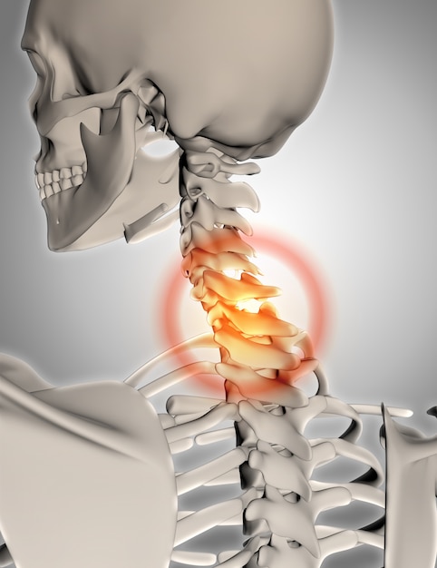 Il rendering 3D di uno scheletro con collo evidenziato nel dolore