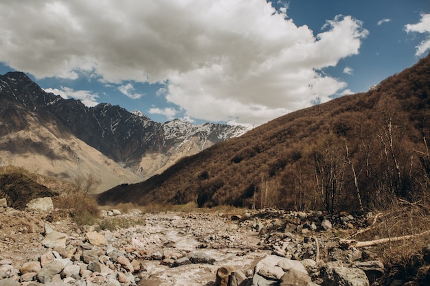 il ruscello di montagna scende dalla cima lungo la gola