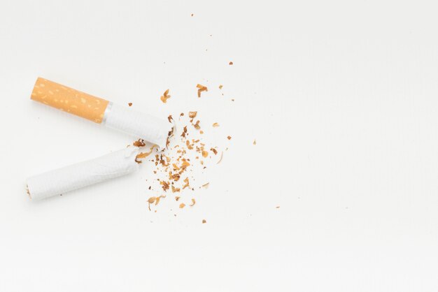 Il tabacco proveniente dalla sigaretta rotta contro il fondale bianco