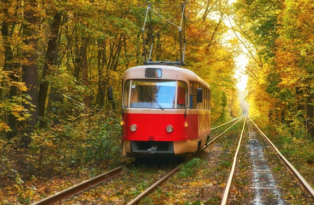 Il tram con i passeggeri parte dalla fermata dell'autobus in città al mattino presto