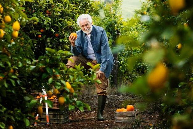 Il vecchio uomo in piedi accanto ai suoi alberi di arancio