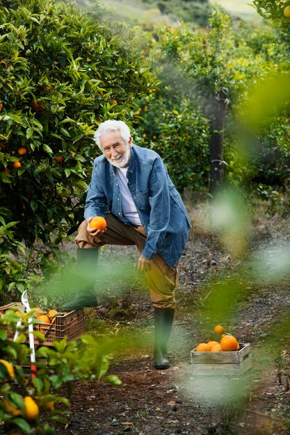 Il vecchio uomo in piedi accanto ai suoi alberi di arancio