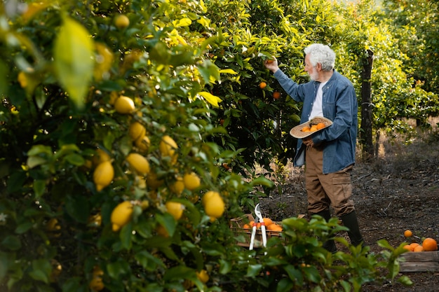 Il vecchio uomo in piedi accanto ai suoi alberi di arancio