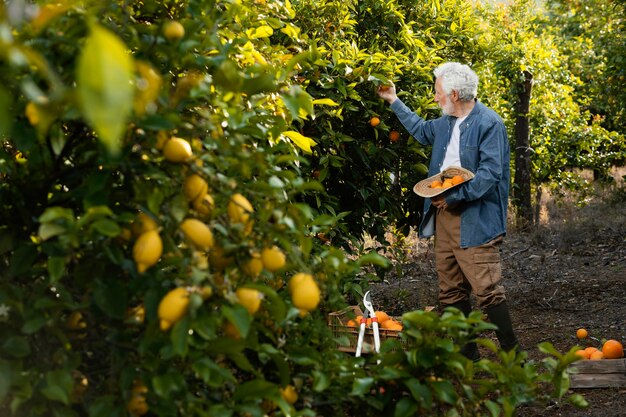 Il vecchio uomo in piedi accanto ai suoi alberi di arancio