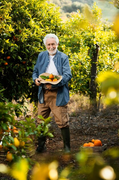 Il vecchio uomo in piedi accanto ai suoi alberi di arancio