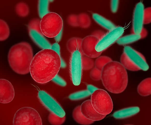 illustrazione 3D. Globuli rossi con batteri. Cellule batteriche nel sangue. Concetto scientifico e medico.