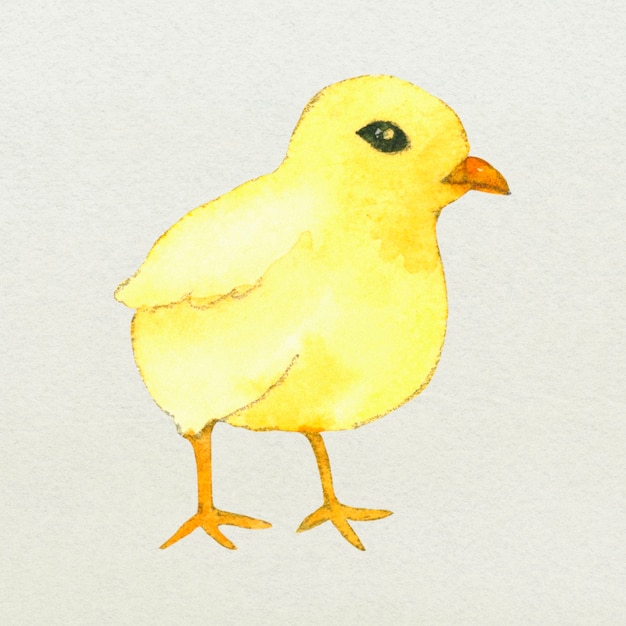 Illustrazione sveglia dell'acquerello dell'elemento di progettazione dell'uccello giallo di Pasqua