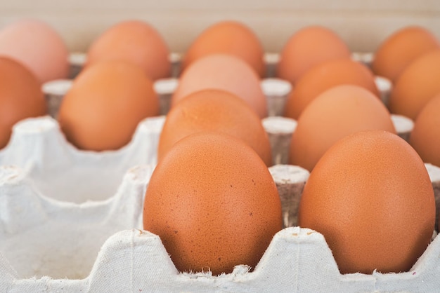 Imballaggio di uova di pollo in primo piano prodotti freschi provenienti da imballaggi riciclati del mercato degli agricoltori