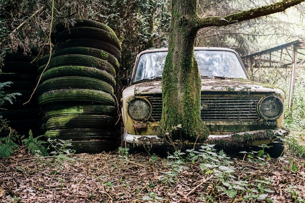 Immagine di un'auto abbandonata e abbandonata in una foresta