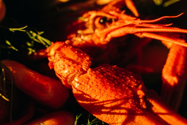 Immagine di un grande cancro al vapore di colore rosso-arancio alla luce del sole