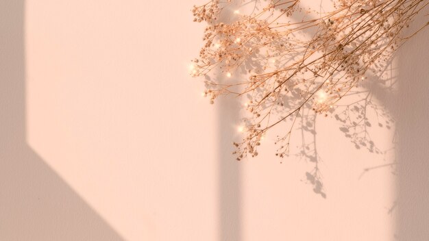 Immagine floreale dell'ombra della finestra del fiore secco
