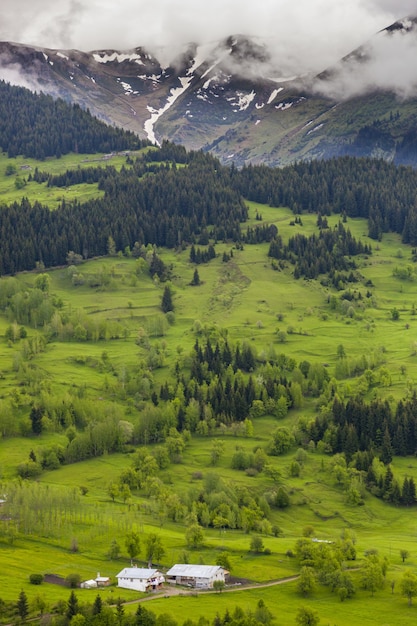 Immagine verticale di colline ricoperte di foreste e nebbia sotto un cielo nuvoloso durante il giorno