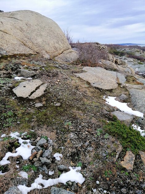 Immagine verticale di rocce coperte di neve e muschi sotto un cielo nuvoloso