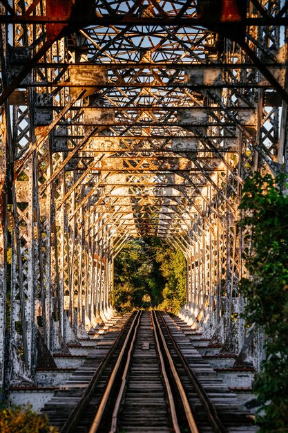 Immagine verticale di una ferrovia misteriosamente abbandonata in mezzo a una foresta rigogliosa